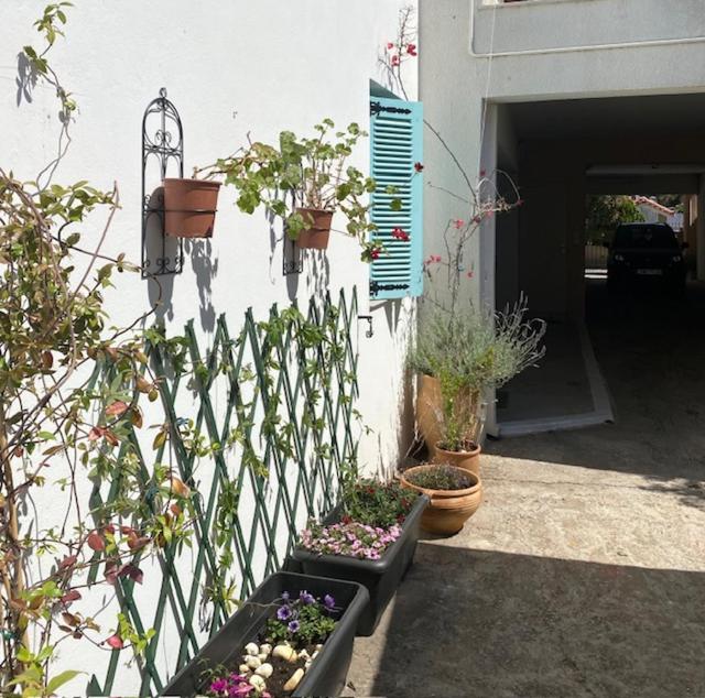 Spata Lykourgos Homes Ngoại thất bức ảnh